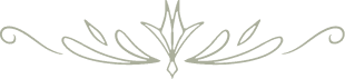 vector 1.png